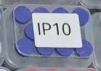 Home ipamorelin